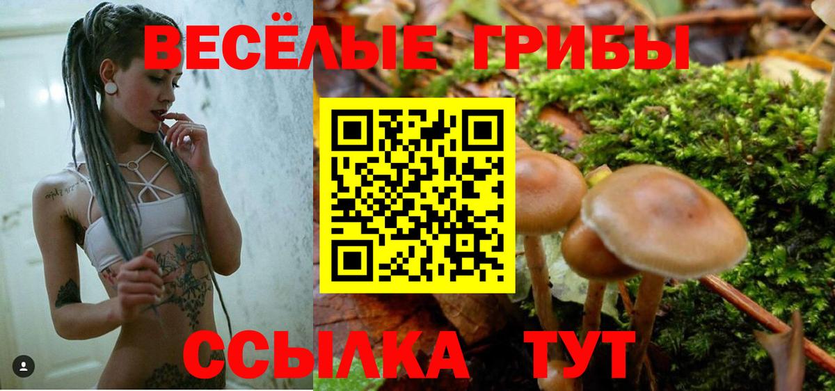 Псилоцибиновые грибы мицелий Киров