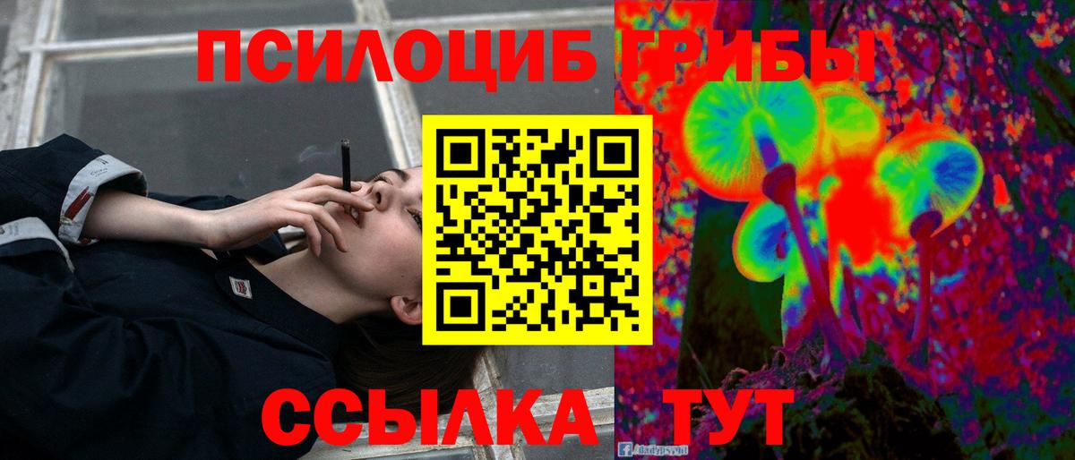 Псилоцибиновые грибы ЛСД  Псилоцибиновые грибы прущие грибы  Киров  Вход с VPN 